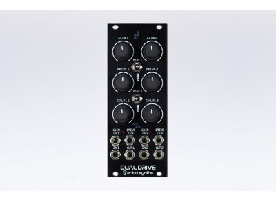 Erica Synths Dual Drive