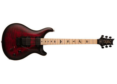 PRS DW CE 24 “Floyd” (2019)