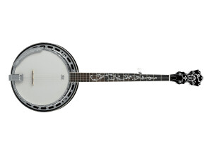 Ibanez B300