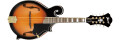 Ibanez actualise son offre d'instruments bluegrass
