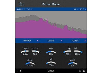 Denise Audio Perfect Room