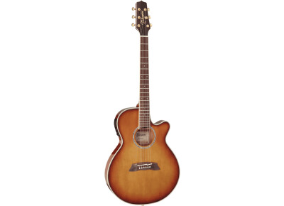 Takamine TSP138C