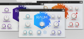 Native Instruments Raum