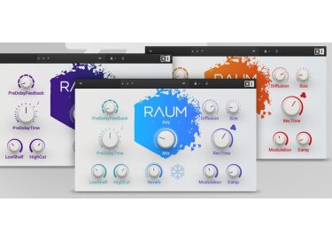 Native Instruments Raum