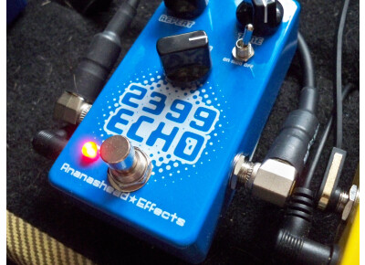 Ananashead Effects 2399 Echo