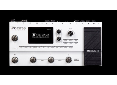 Mooer GE250