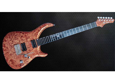 Siger Guitars R-Butt