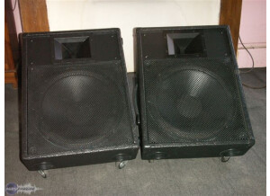 Peavey ES15