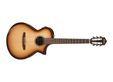Ibanez AEWC300N