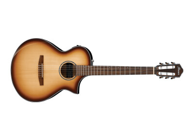 Ibanez AEWC300N