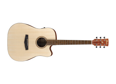 Ibanez PF10CE