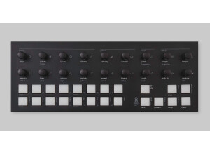 Torso Electronics T-1