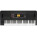 See the photo of the Korg EK-50 L Korg EK-50 L