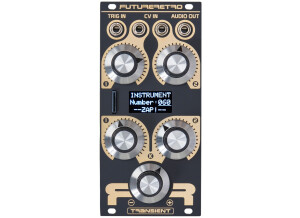 Future Retro Transient plus