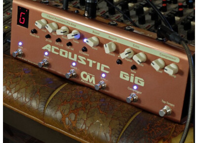 Carl Martin Acoustic GiG