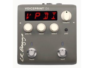 L.R. Baggs Voiceprint DI