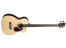 Martin & Co BC-16E Bass