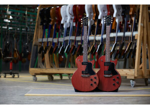 Gibson Les Paul Heritage