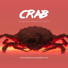 Bluezone Crab - Creature Sound Effects