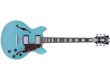 D'angelico Premier Mini DC