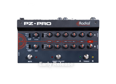 Radial Engineering PZ-Pro