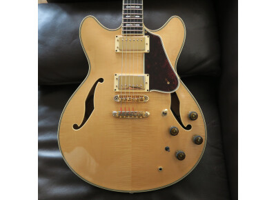 Ibanez AS200 (1979-2001)