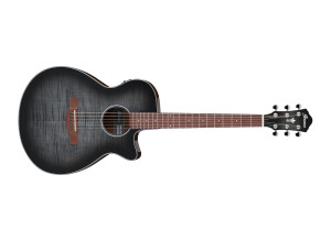 Ibanez AEG70