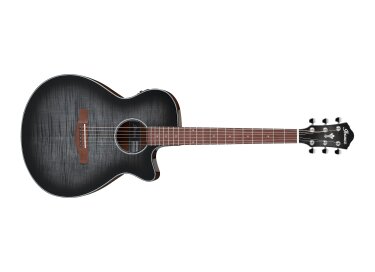 Ibanez AEG70