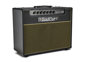 Bad Cat Cub IV Hand-Wired