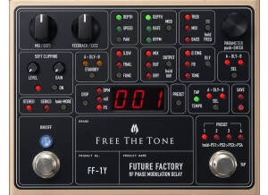 Free The Tone FUTURE FACTORY FF-1Y RF PHASE MODULATION DELAY