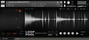 Sound Dust Loop Pool: Boom & Bust