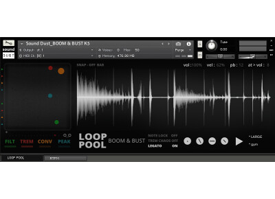 Sound Dust Loop Pool: Boom & Bust
