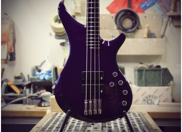 Vigier Passion Standard PM