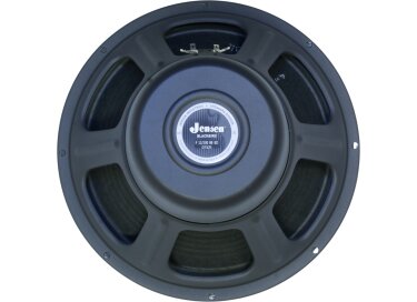Jensen Blackbird 100 12"