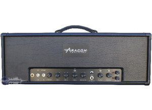 Aracom Amplifiers Evolver 50 Head