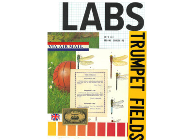 Spitfire Audio Labs Trumpet Fields