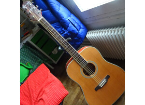 Crafter HD100 CD