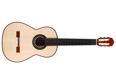 Cordoba Esteso Spruce