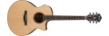 Les nouveaux modèles électro-acoustiques Ibanez