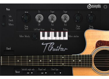 AcousticSamples TGuitar