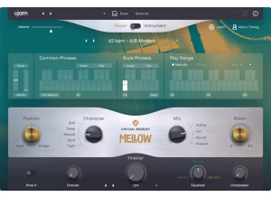 Ujam Virtual Bassist Mellow 2