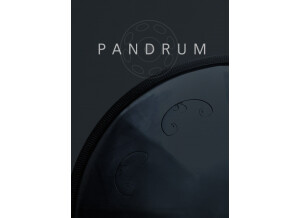 Cinematique Instruments Pandrum