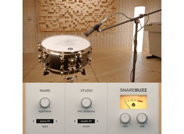 Wavesfactory SnareBuzz