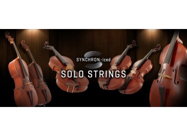VSL (Vienna Symphonic Library) Synchron-ized Solo Strings