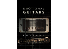8dio Emotional Guitars: Rhythms