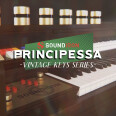 Soundiron capture un orgue Welson Princess dans Principessa