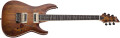 Les nouveaux modèles Schecter
