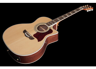 Harley Benton CLJ-503CE