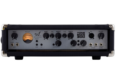 Ashdown Toneman 300 Evo III