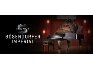 VSL (Vienna Symphonic Library) Synchron Bösendorfer Imperial
